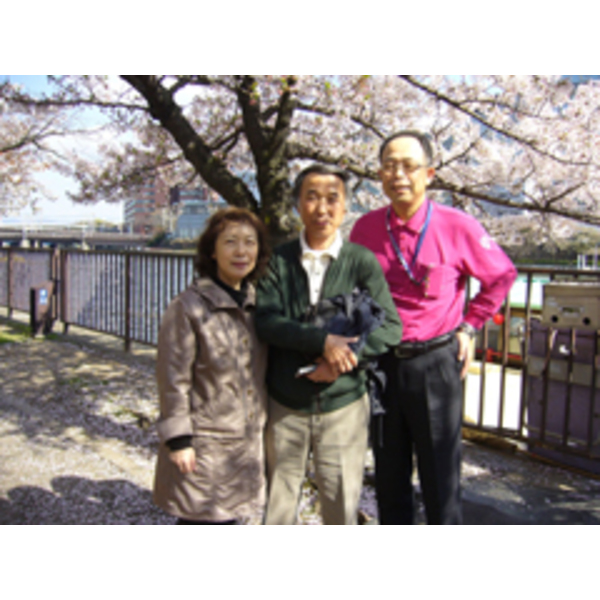 「屋形船に乗っての桜見物」