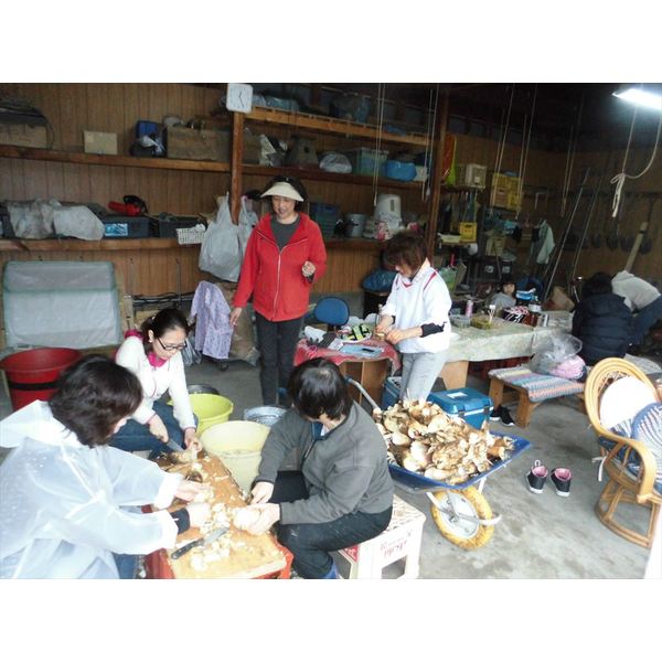 「恒例のタケノコ堀」