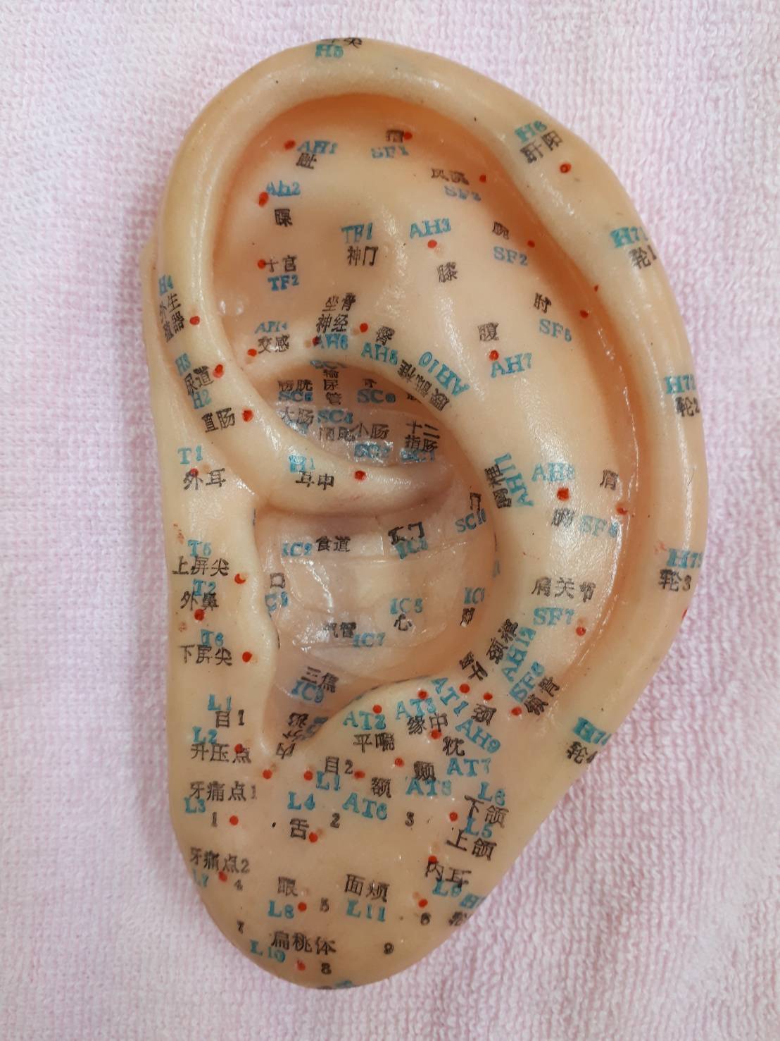 美容メニュー 施術メニュー 茨木市 北川整骨院 鍼灸 スポーツ障害の治療 美顔鍼 耳つぼ